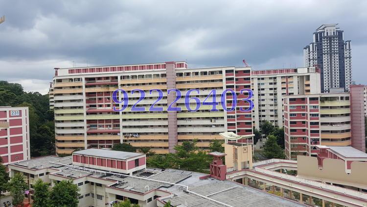 Blk 233 Bukit Batok East Avenue 5 (Bukit Batok), HDB 3 Rooms #107108532